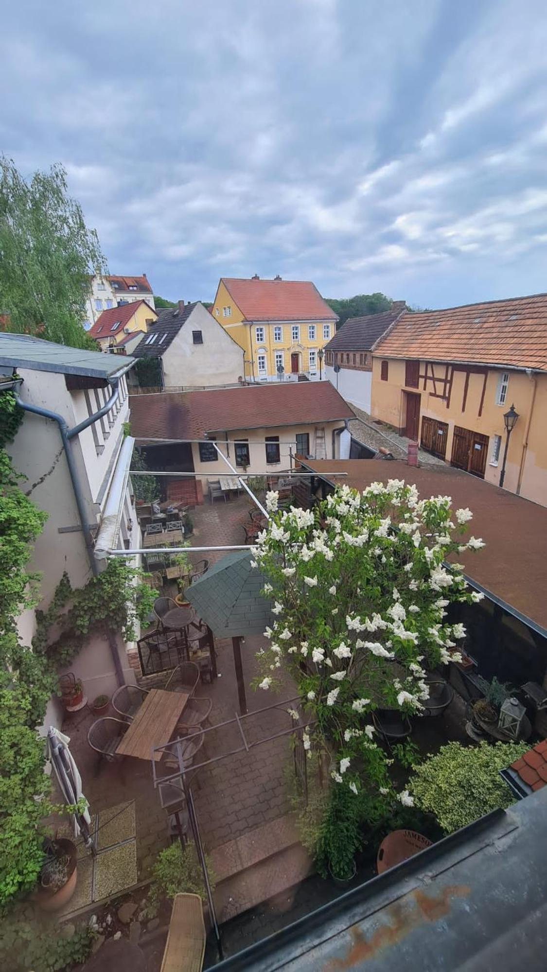 Hotel-Garni "Zum Loewen" Bad Freienwalde Eksteriør billede